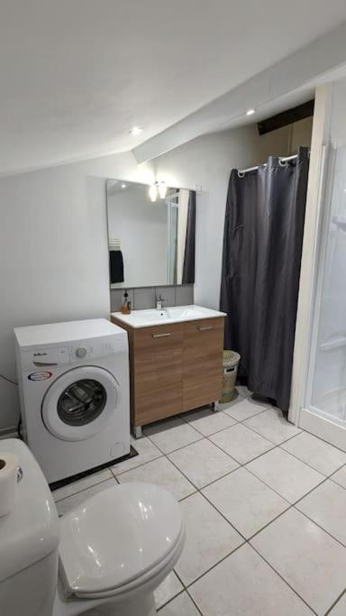 2E Grand Studio Agen Hyper Centre - Clim - Jacobins Dış mekan fotoğraf