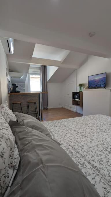 2E Grand Studio Agen Hyper Centre - Clim - Jacobins Dış mekan fotoğraf